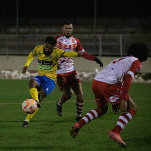 N2-21.jpg